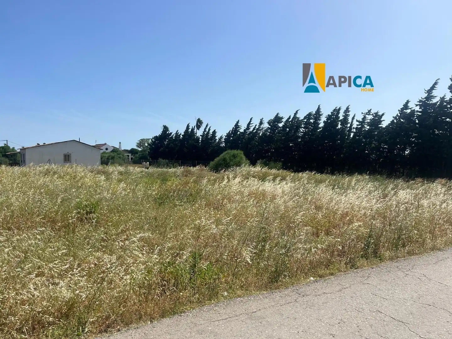 Rural land for sale in Barrio Nuevo, imagen 9