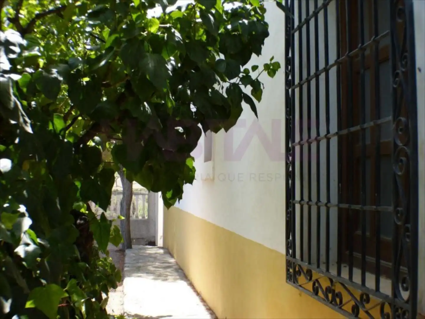 Terreny residencial en venda a Tibi, Ctra S. Vicente-Alcoy. Torrosellas, Polígono 1 parcela 25 + casa, imagen 30