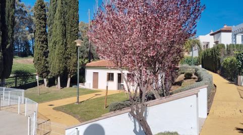 Foto 4 de Casa o chalet de alquiler en Calle Manuel Piñero, Las Pajanosas, Guillena