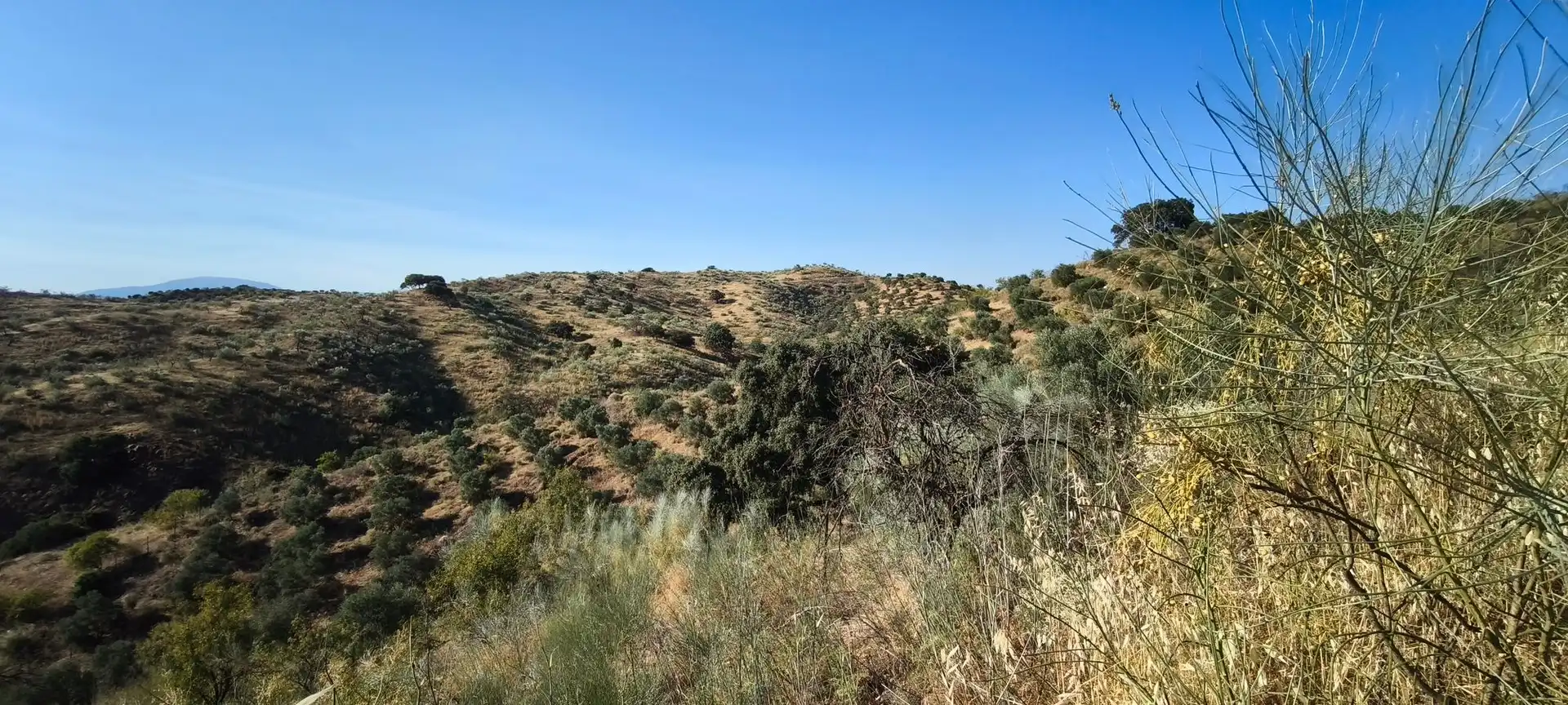Terreni e lotti in vendita a Álora, imagen 15