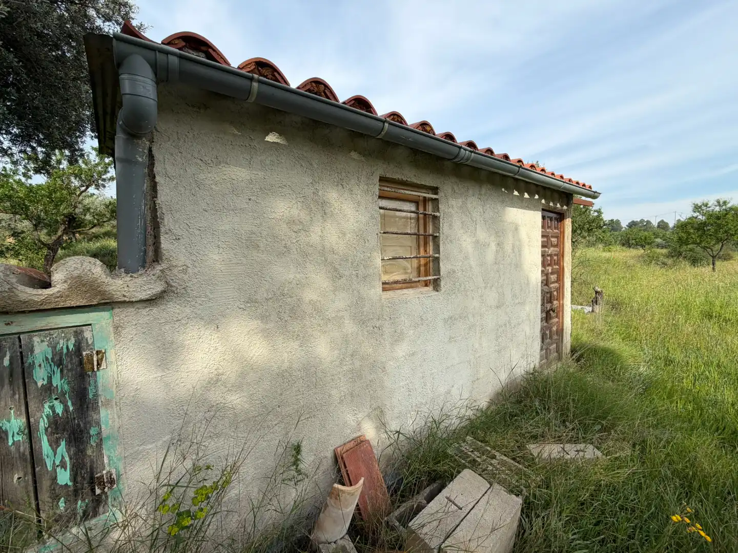Terreno rustico in vendita a Ascó, imagen 4