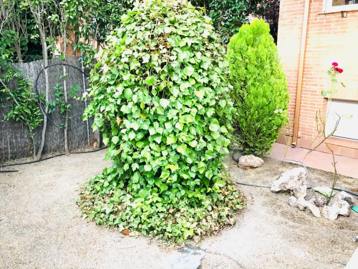 Zimmer in Villanueva de la Cañada ciudad