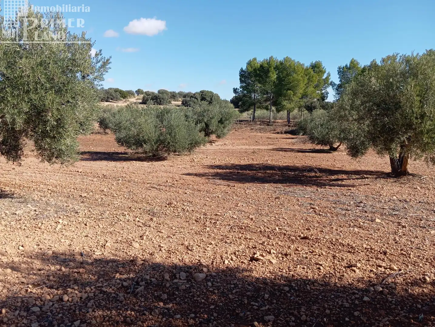 Terrenys i solars en venda a Argamasilla de Alba, imagen 5