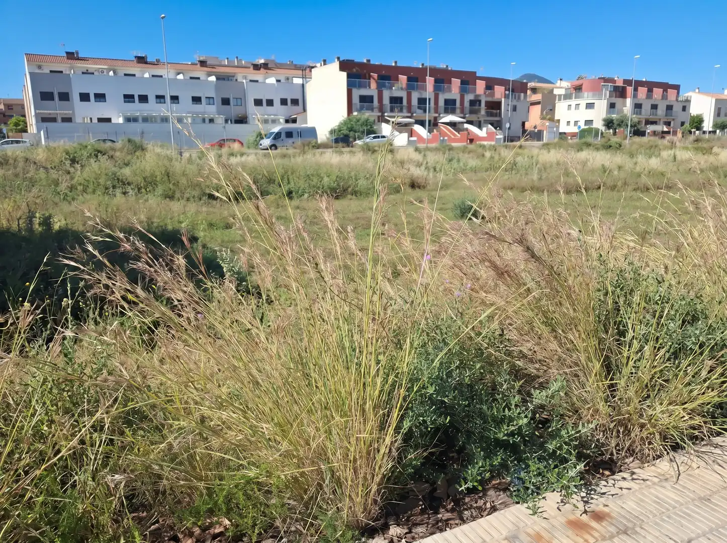 Rural land for sale in Calle Calle Moncofar, imagen 4