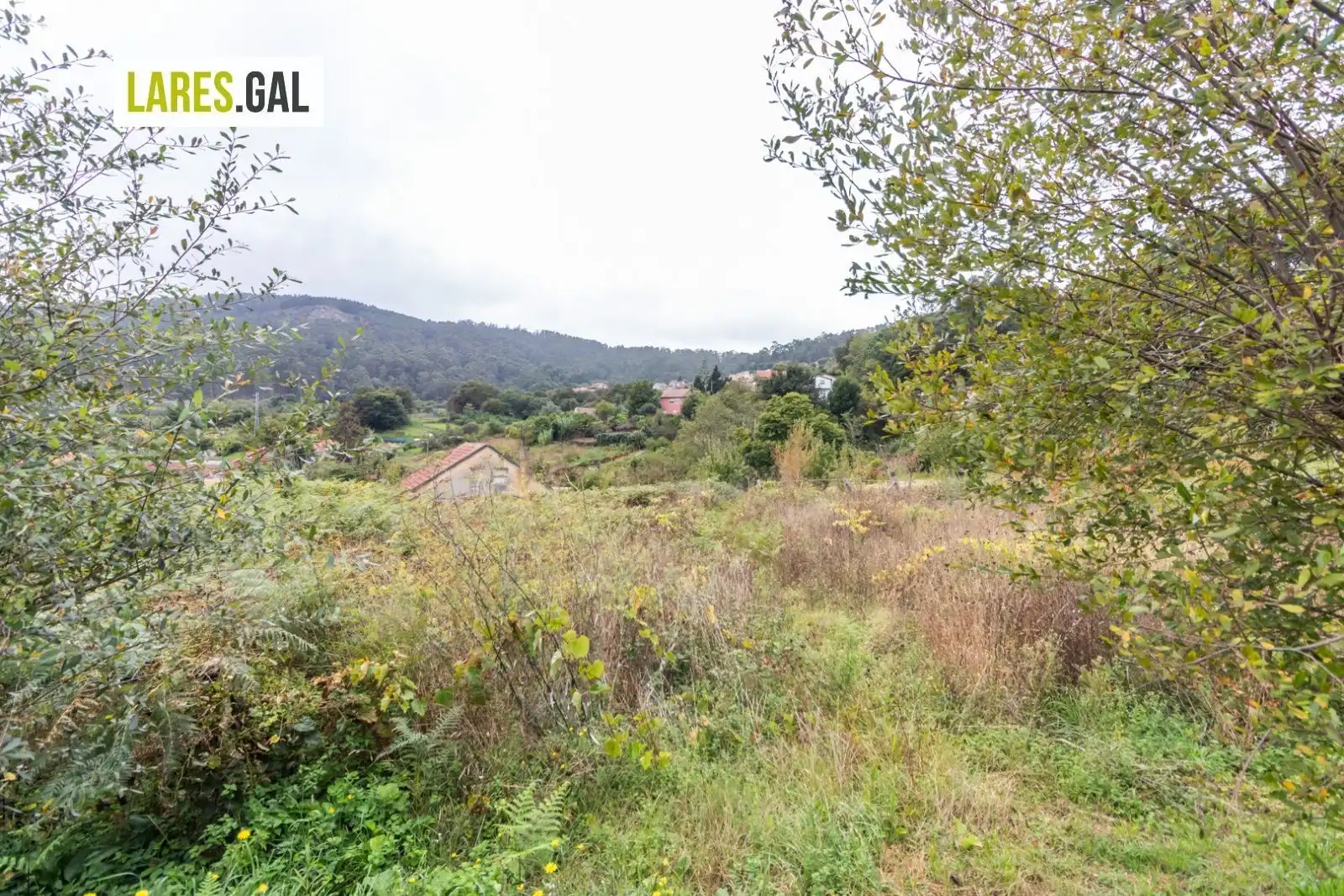 Terrain rustique à vendre à Paradela, imagen 9