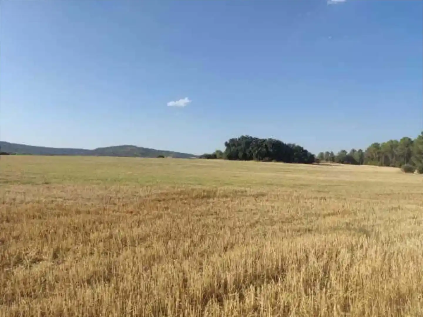 Terreno en venta en Alcocer