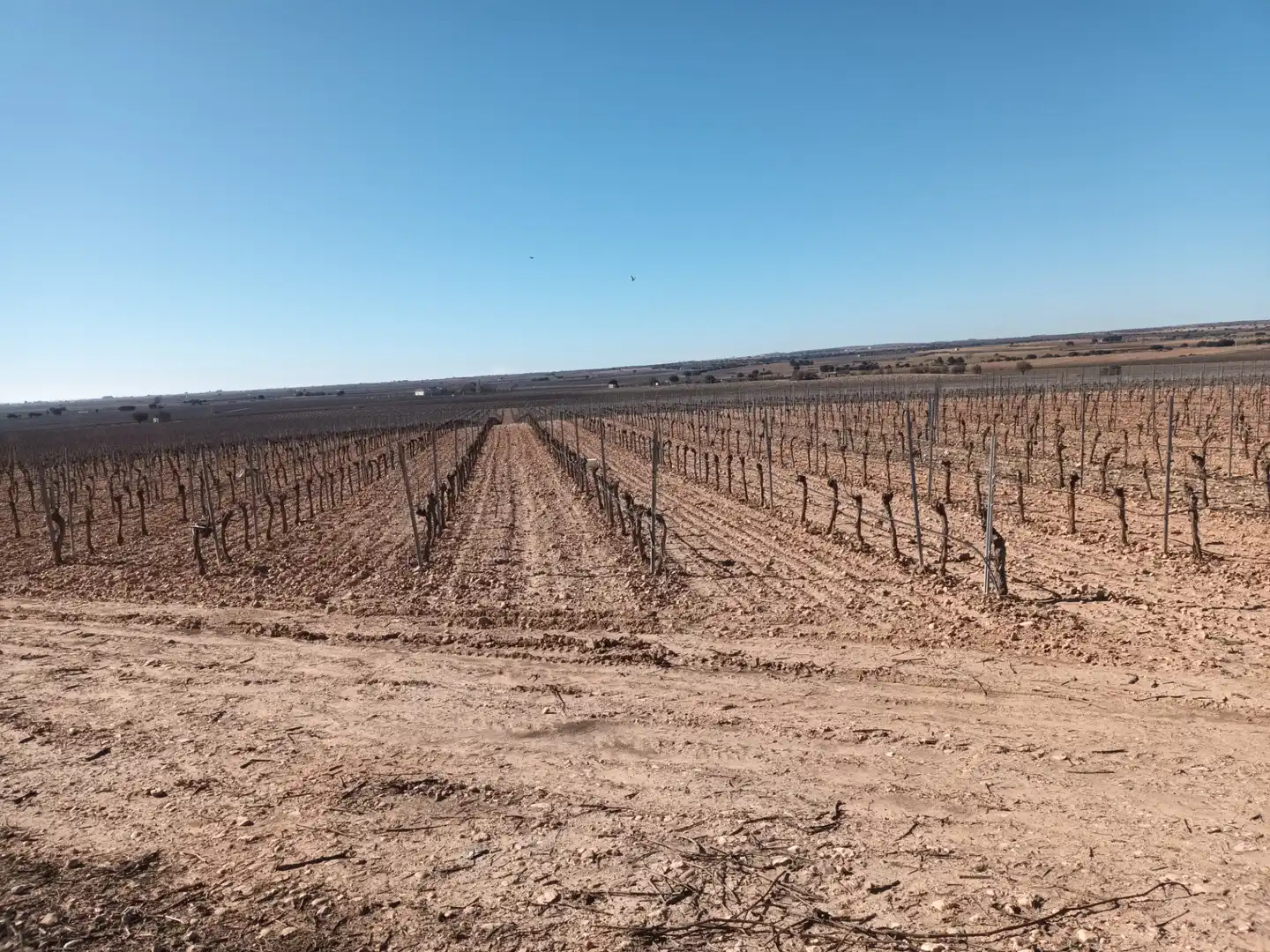 Terrenys i solars en venda a El Toboso, imagen 5