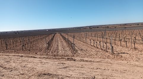 Photo 5 of Land for sale in El Toboso, Toledo