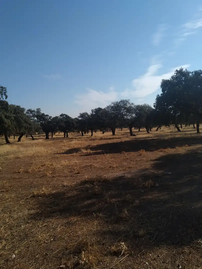 Terreno rustico in vendita a Villanueva de Córdoba