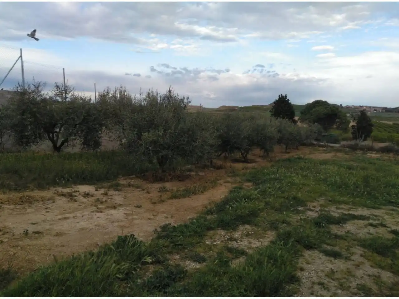 Casa o xalet en venda a Sunyer