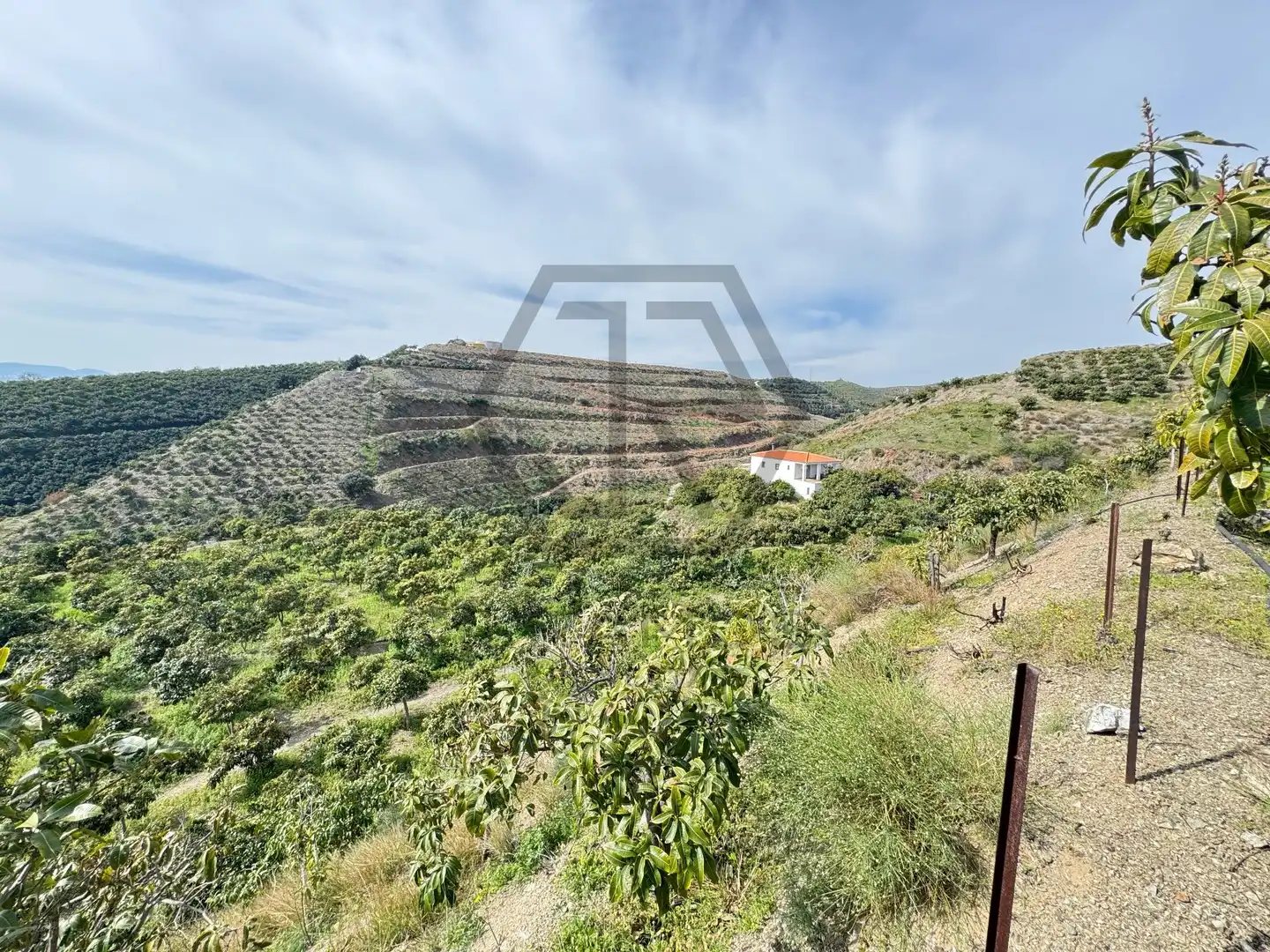Rustikales Grundstück zum Verkauf in Atalaya Baja, imagen 7