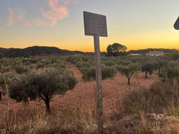 Terreno rustico in vendita a Abanilla - Abanilla