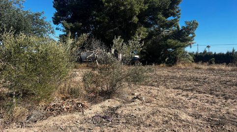 Foto 4 de Casa o xalet en venda a Perleta - Maitino, Elche / Elx