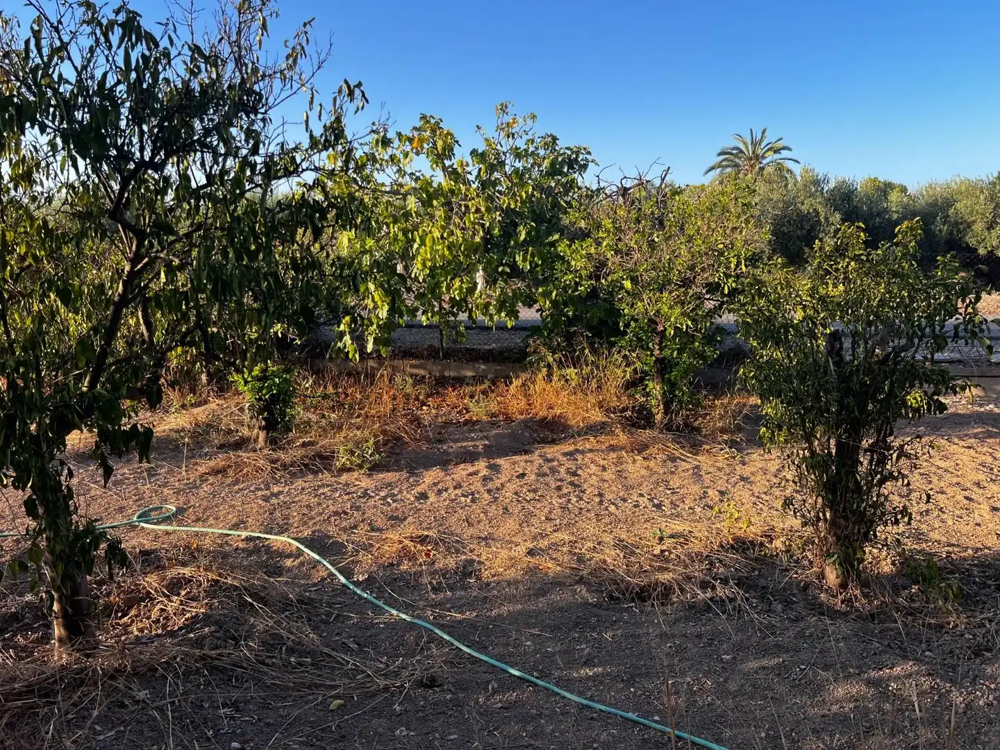 Casa o xalet en venda en Elche / Elx amb Jardí privat, Terrassa i Traster