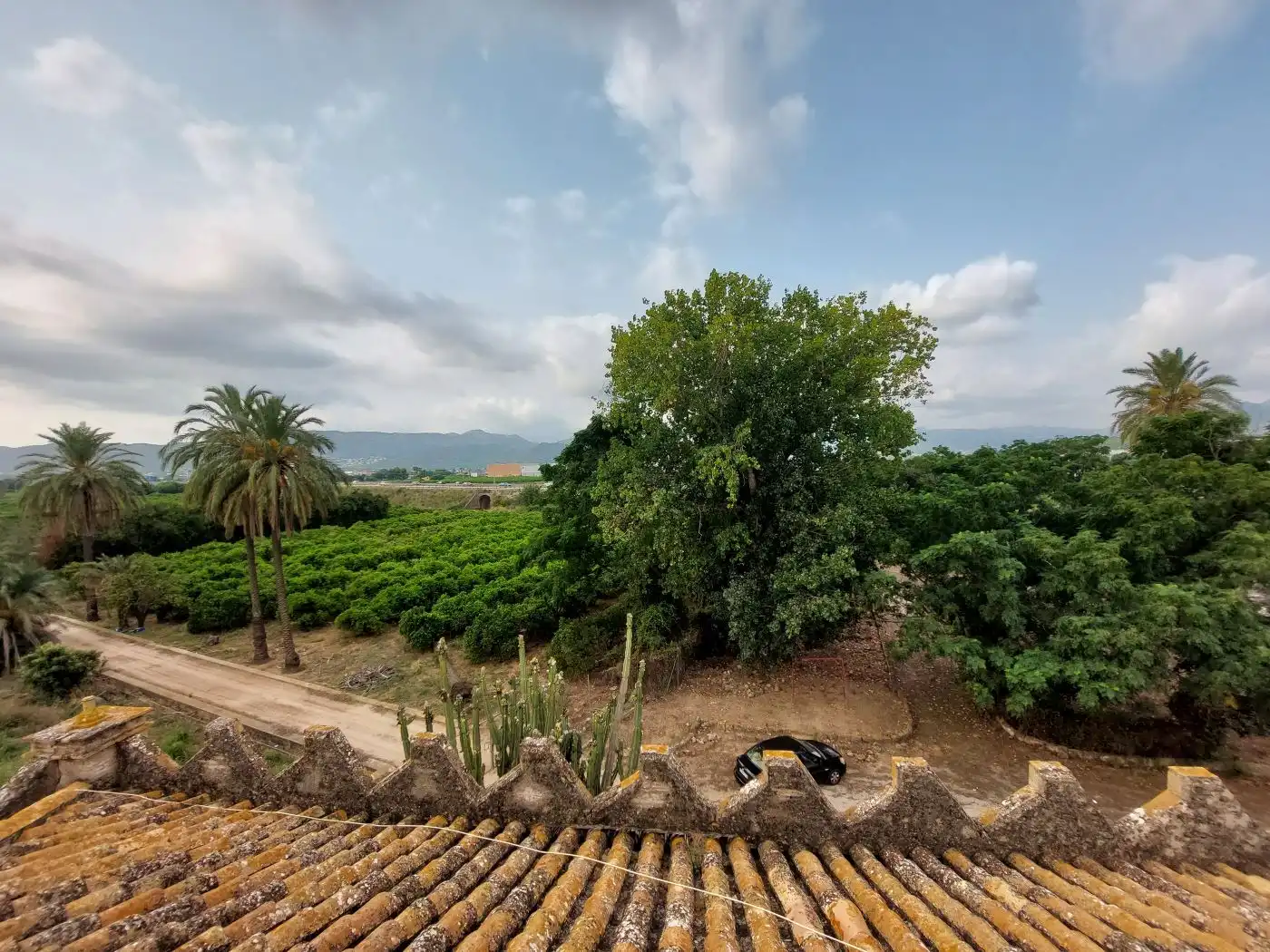 Garden of Country homes for sale in Ondara  with Private garden, Terrace and Swimming Pool