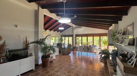 Foto 2 de Finca rústica en venta en N/a, -1, Dolores, Alicante