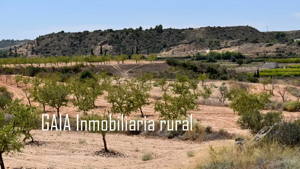 Finca rústica en venta en Caspe