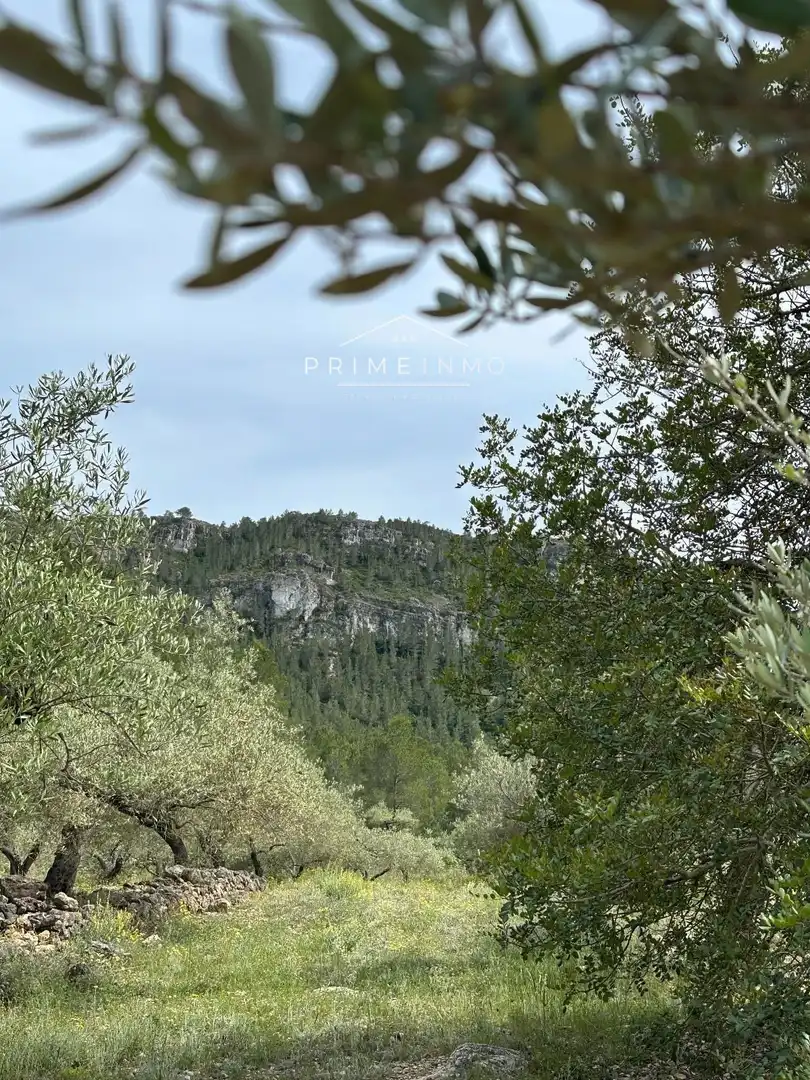 Terreno rústico en venta en L'Ametlla de Mar pueblo, imagen 2