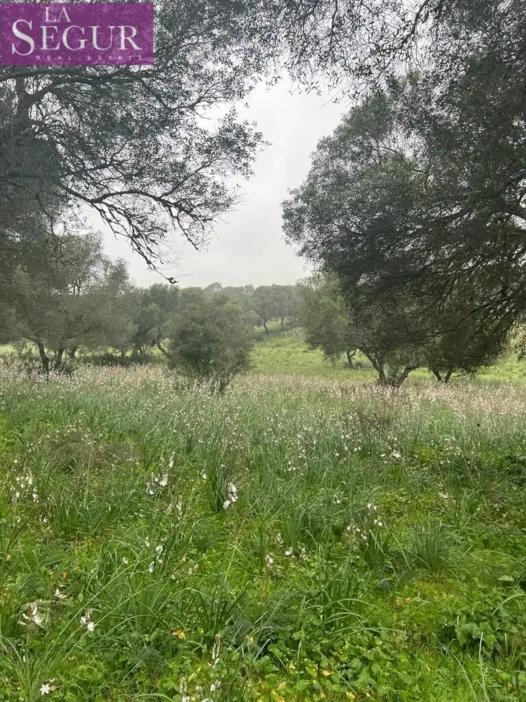 Residential for sale in Barbate