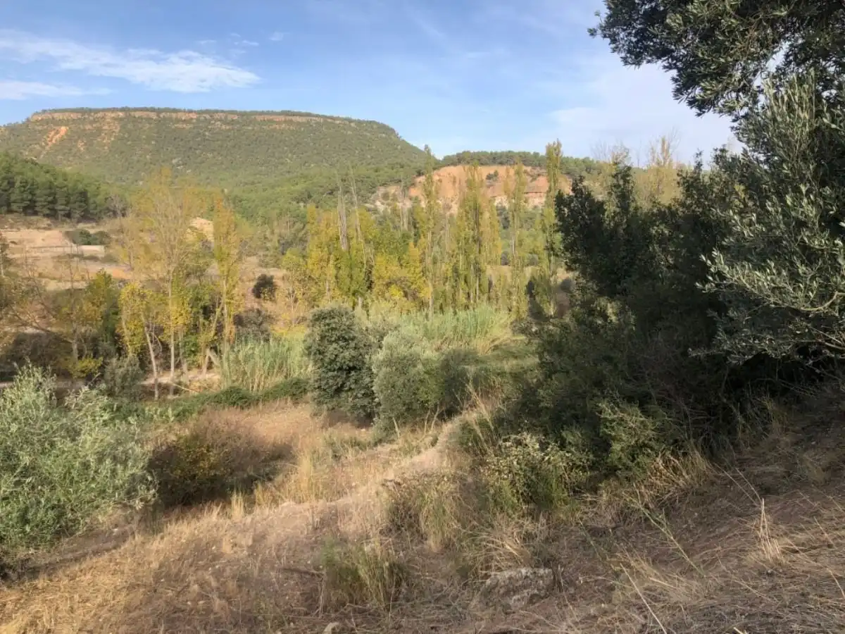Finca rústica en venda en Valderrobres