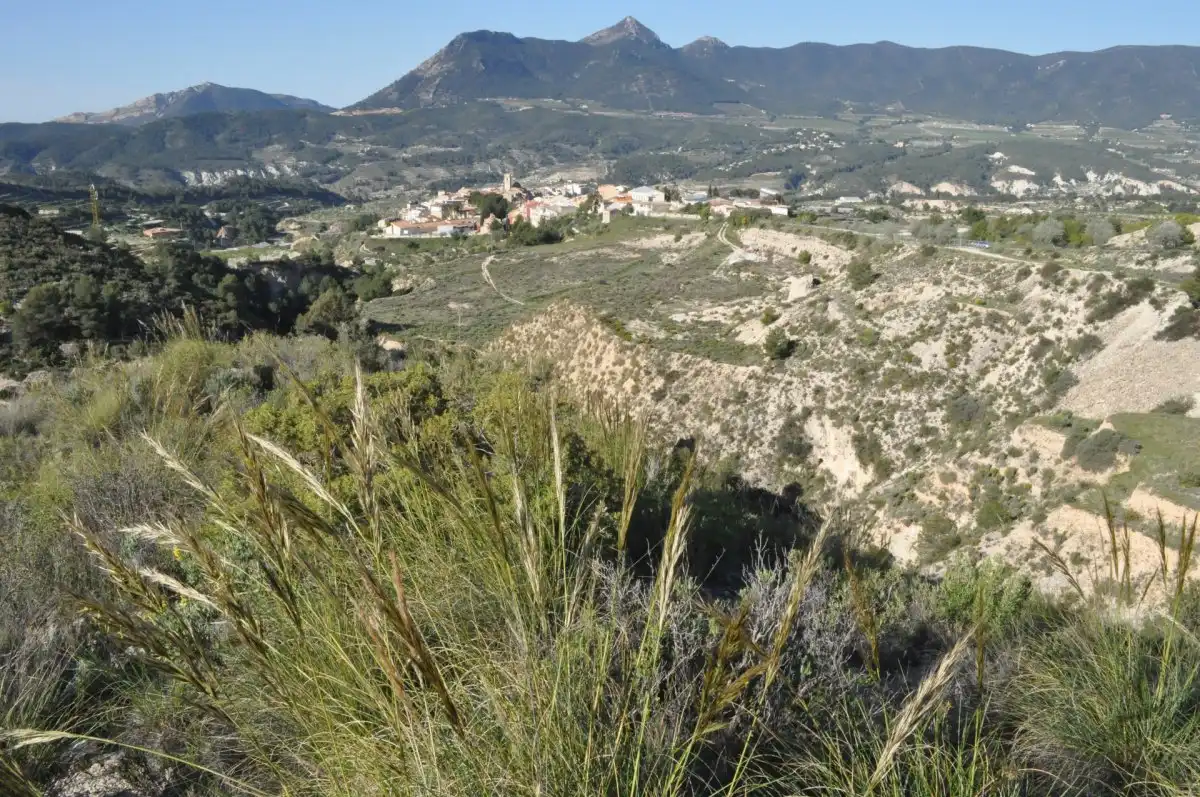 Terreno industrial en venta en Tibi