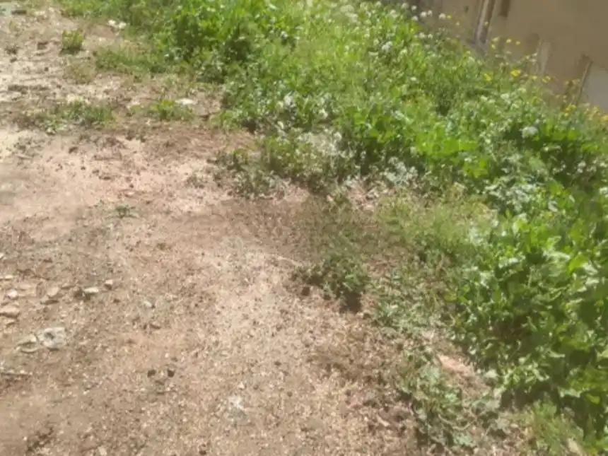 Terreny residencial en venda a Calle las Junqueras 17, imagen 5