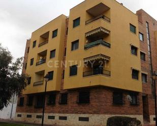 Exterior view of Garage for sale in Torre-Pacheco