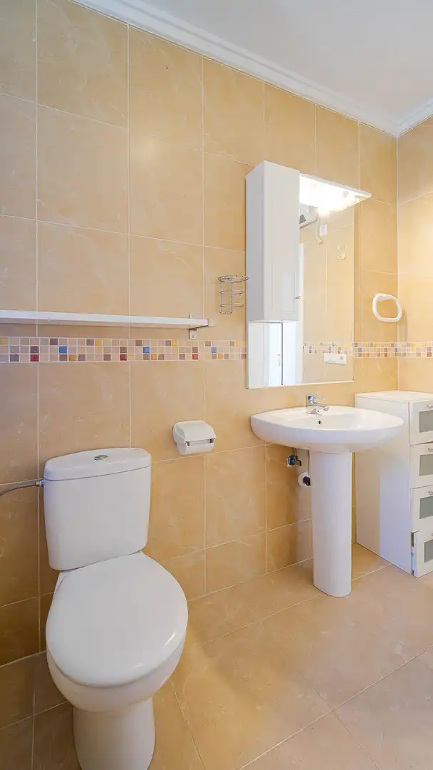 Bathroom of Houses for sale in Rojales  with Private garden, Terrace and Furnished