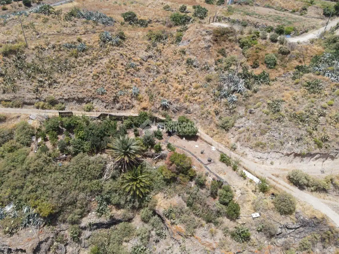 Terreny rústic en venda a Valsequillo de Gran Canaria, imagen 13