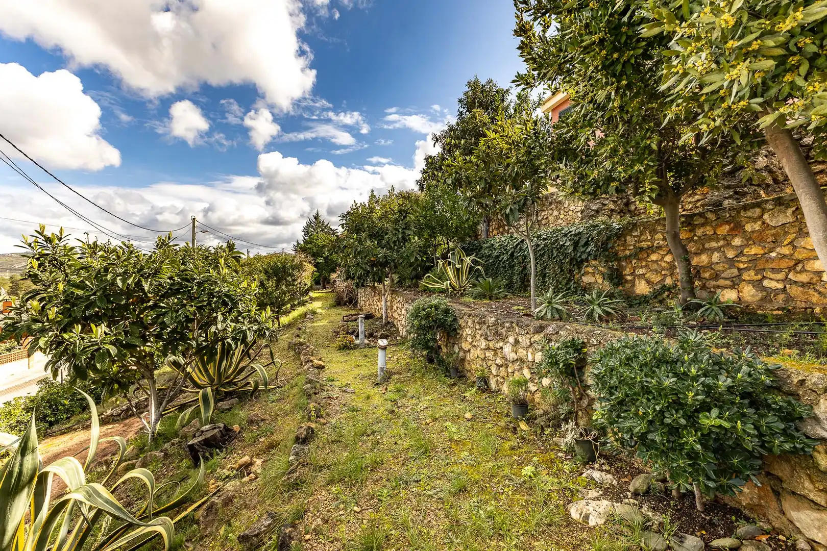 House with pool for sale in Olivella, imagen 79
