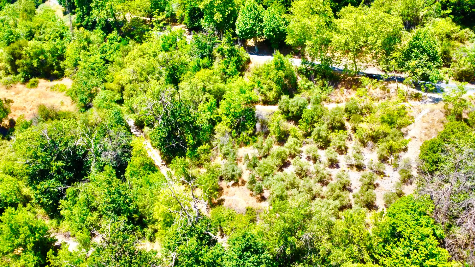 Finca rústica en venta en Alpujarra de la Sierra
