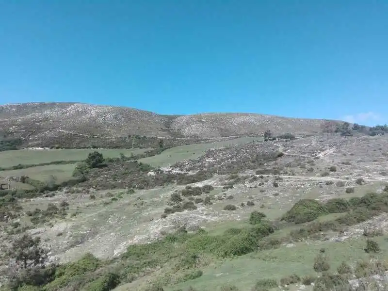 Land for sale in Entrimo