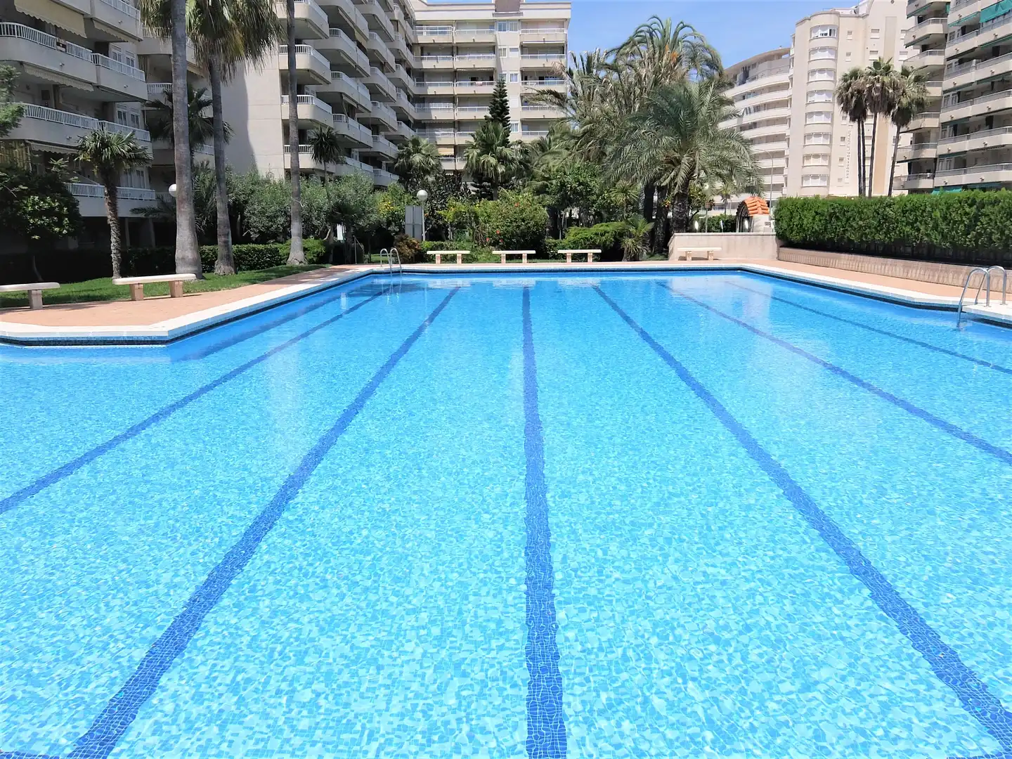 Apartament amb terrassa de lloguer a Playa de Gandia, imagen 18