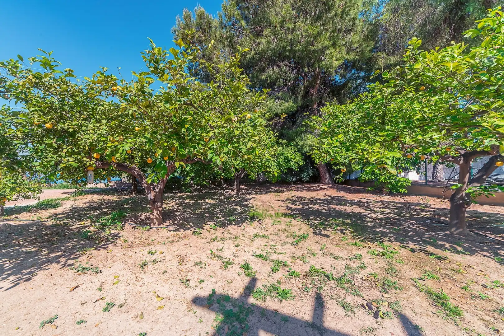 Haus oder Chalet zum Verkauf in Alicante / Alacant mit Schwimmbad