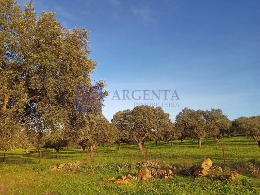 Casa o xalet en venda a Oeste