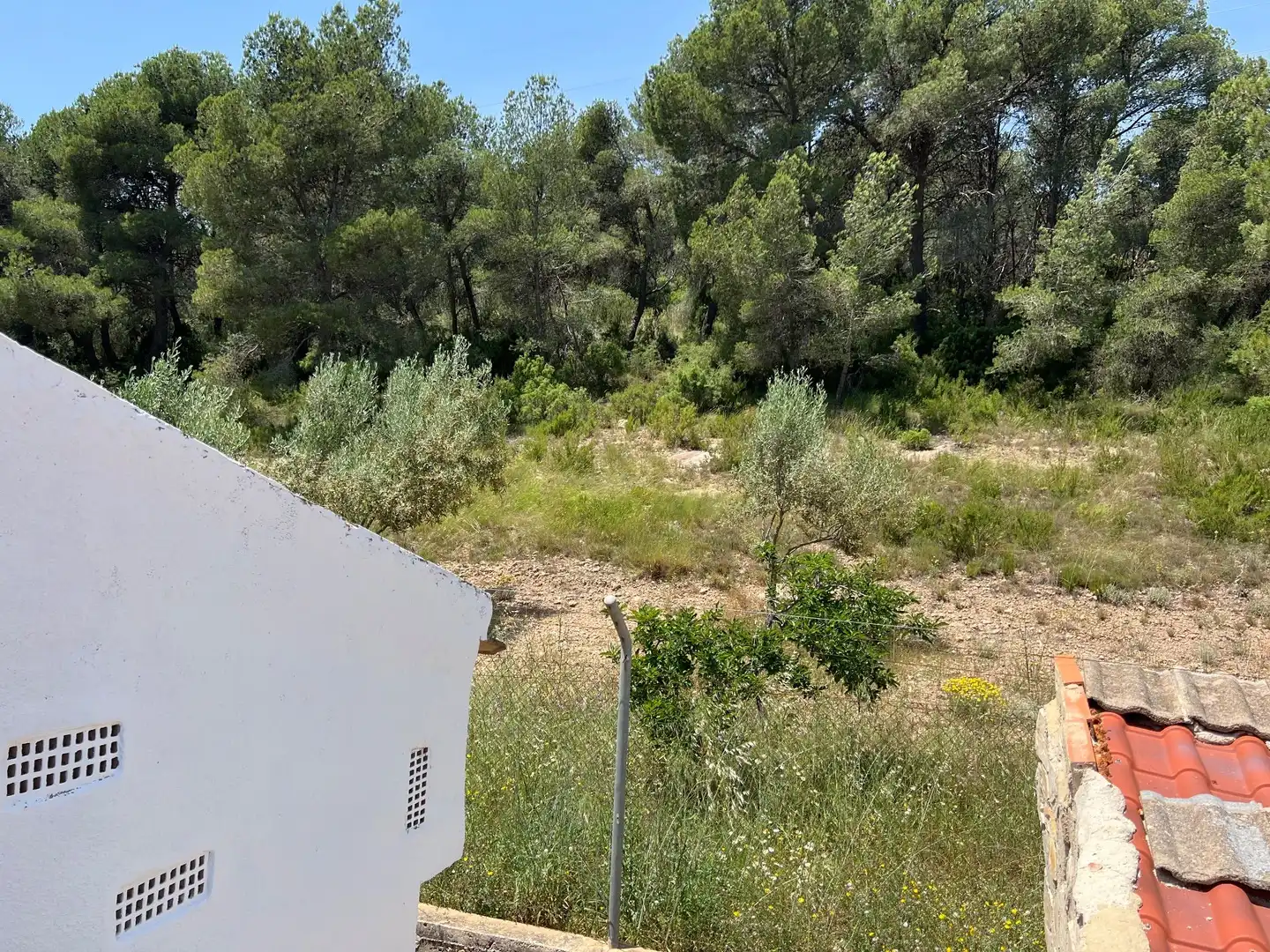 Casa o xalet en venda en Andilla