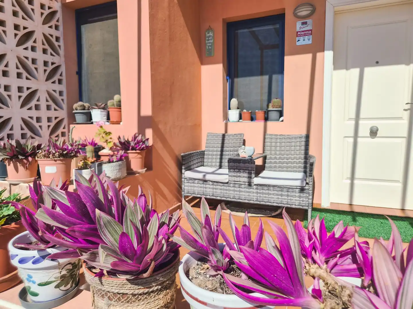Terrasse von Einfamilien-Reihenhaus zum Verkauf in Antigua