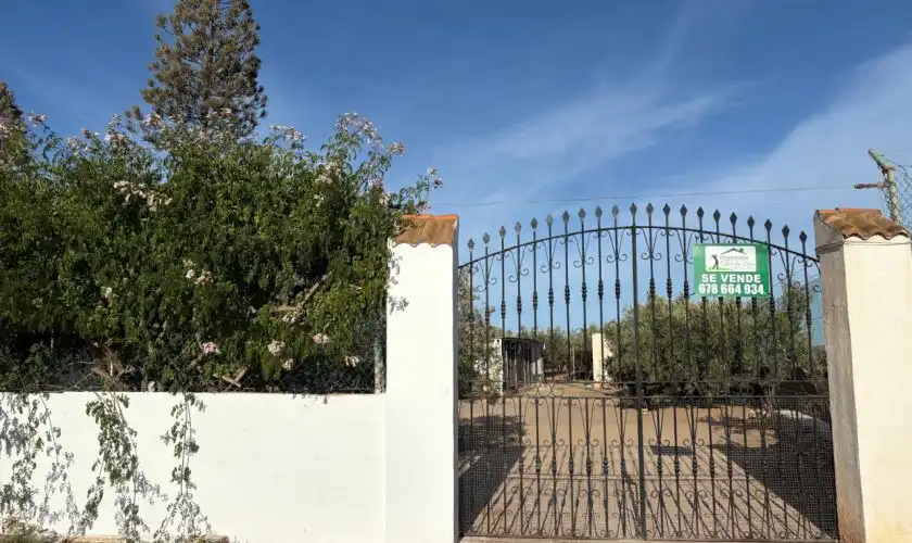 Jardí de Casa o xalet en venda en Níjar amb Jardí privat, Terrassa i Piscina