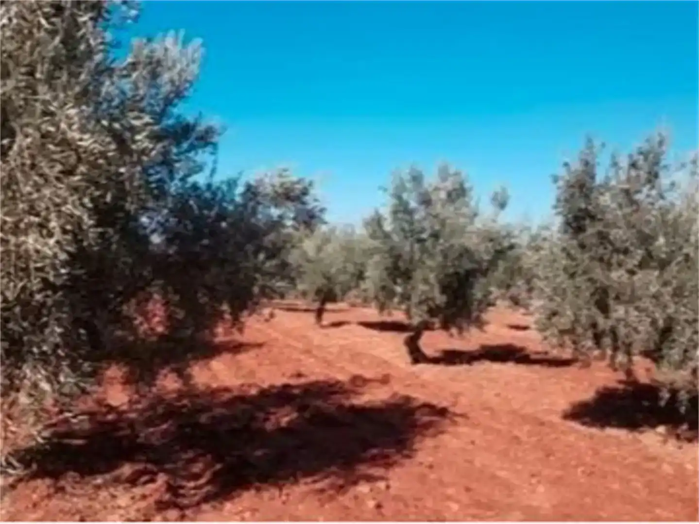 Finca rústica en venta en Polícar