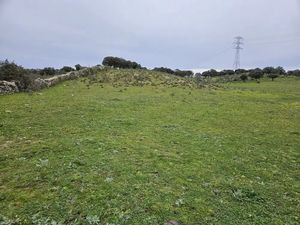 Terreni e lotti in vendita a Navas del Madroño, imagen 4