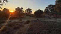 Finca rústica en venda en Brunete