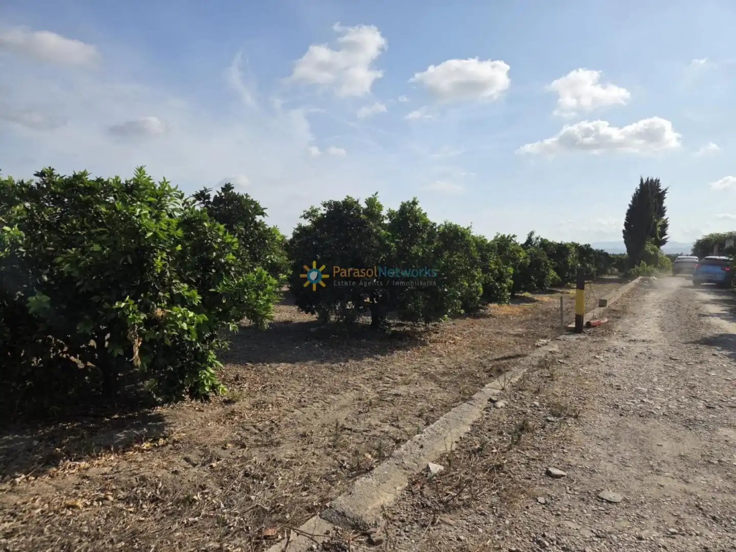 Finca rústica en venta en Senyera con Jardín privado y Terraza