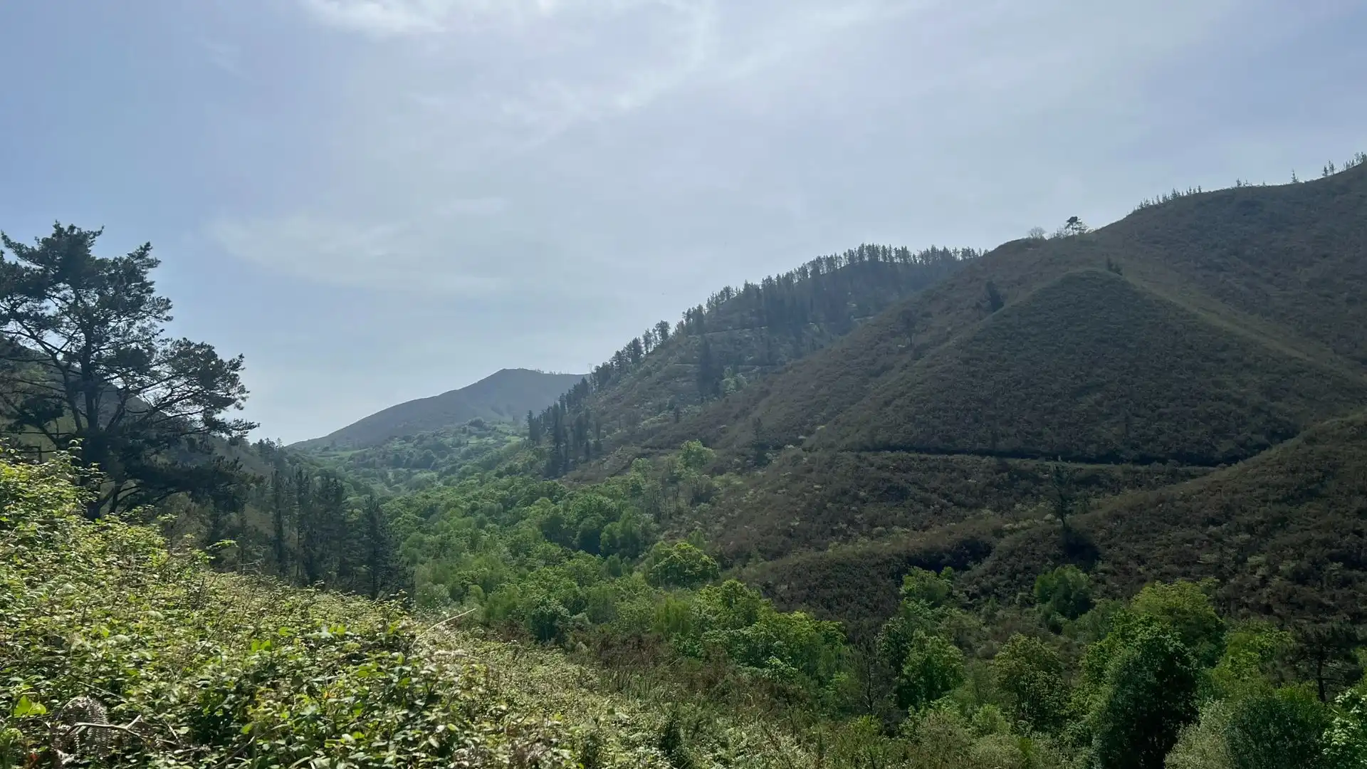 Casa o xalet en venda en Cangas de Onís amb Jardí privat