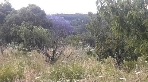 Terreno rústico en venta en Sant Cebrià de Vallalta, imagen 5