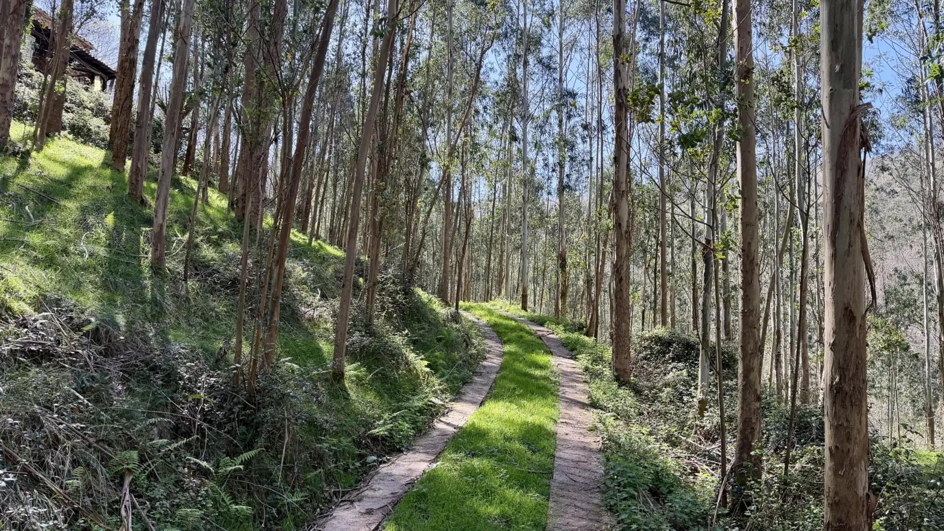Vista exterior de Casa o chalet en venta en Liérganes