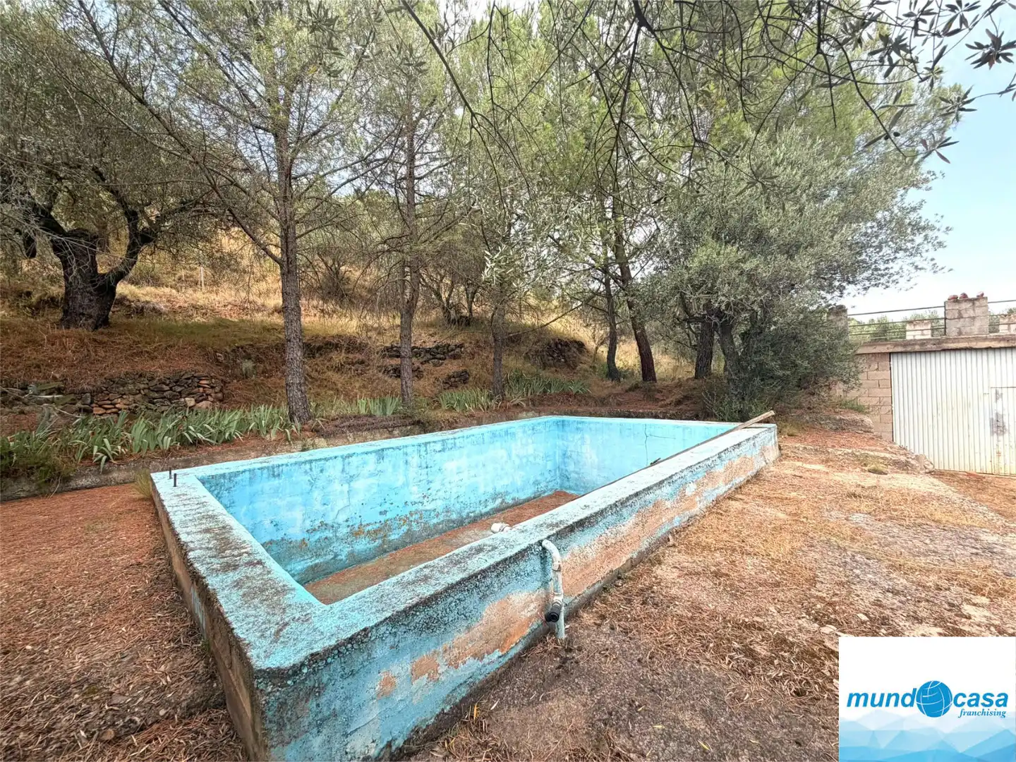 Piscina de Finca rústica en venda en Morata de Jalón amb Piscina comunitària