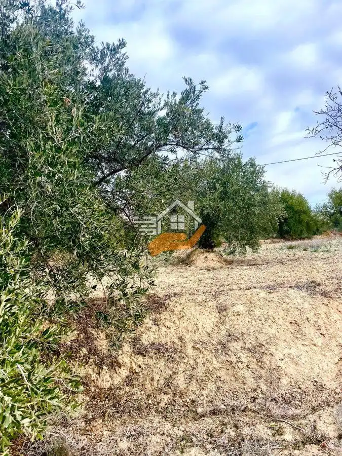 Residential land for sale in Vélez-Rubio, imagen 12