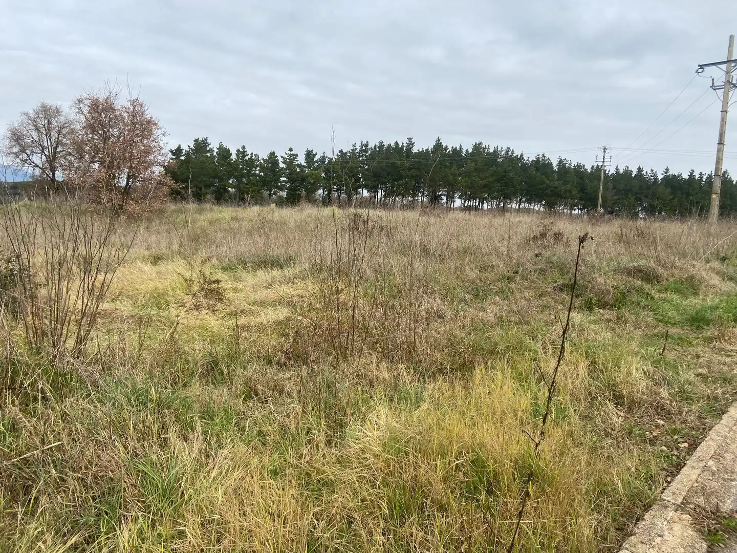 Lands and plots for sale in Centre, imagen 2