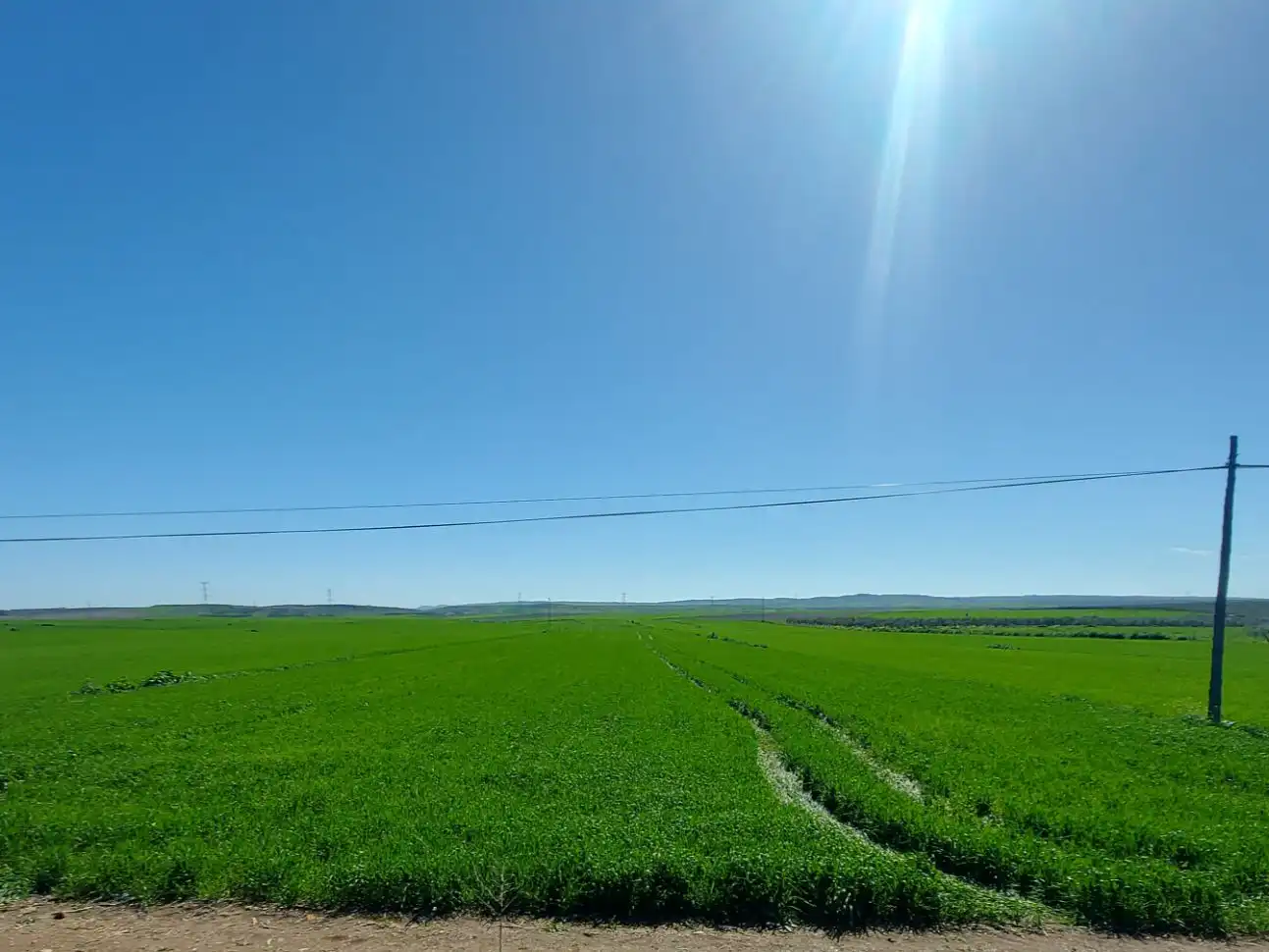 Terreny rústic en venda a Carretera A-477 4, imagen 6