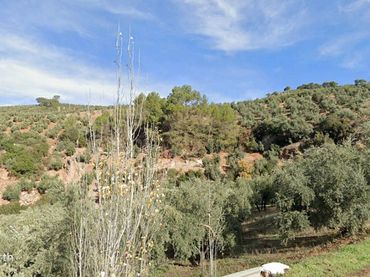 Terreno rustico in vendita a Villanueva del Arzobispo